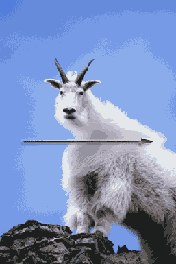   Adobe Photoshop 7

