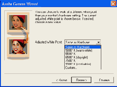
 Adobe Gamma
